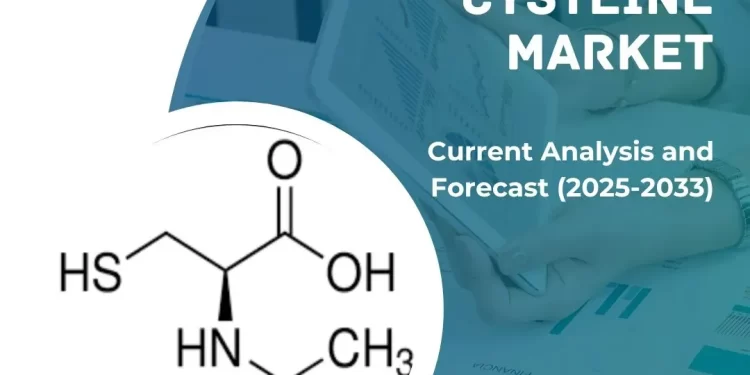 N-アセチル-L-システイン市場の規模、トレンド、2033年までの予測