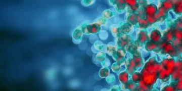 フロンティア | 訂正：ビタミンD欠乏の高齢者における免疫老化の調整のためのビタミンDとN-アセチルシステインの併用投与：ランダム化臨床試験