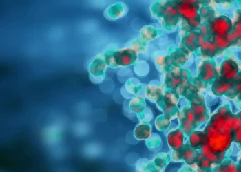 フロンティア | ビタミンD欠乏の高齢者における免疫老化の調整のためのビタミンDとN-アセチルシステインの併用投与：ランダム化臨床試験