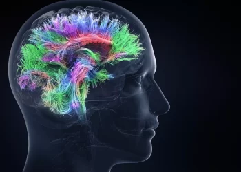 フロンティア | 標的メタボロミクスによる晩年のうつ病におけるキラルアミノ酸の変化とグリシンの調節異常の解明