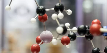 フロンティア | ラウロイルグリシン誘導体の分子構造が泡立ち特性に与える影響