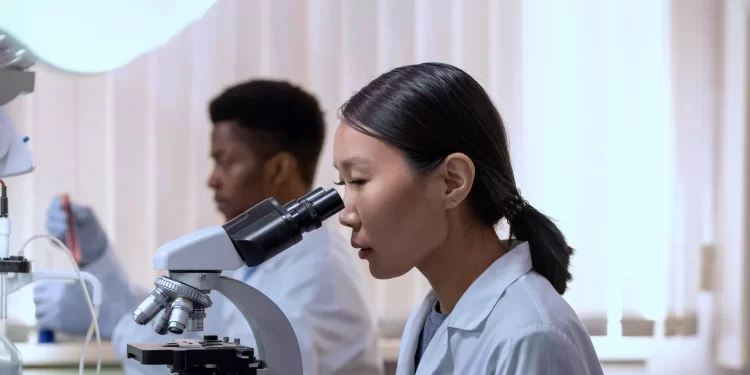 フロンティア | 周囲人工関節感染に関与する病原体に対抗するための添加物としてのN-アセチルシステインの骨セメントへの応用