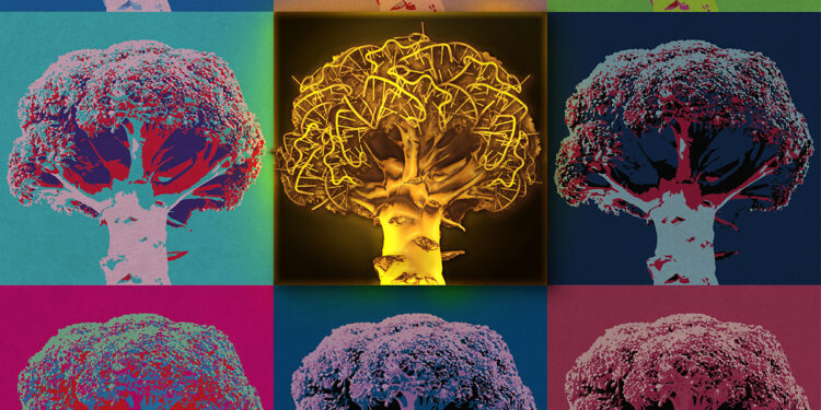 ゴールデンブロッコリー：バイオケミストたちがグリシンイメージング用の初の単色比率バイオセンサーを開発