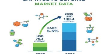 キャプリロイルグリシン市場、クリーンビューティーと規制の厳格化により2035年までに1億3040万ドルに急成長