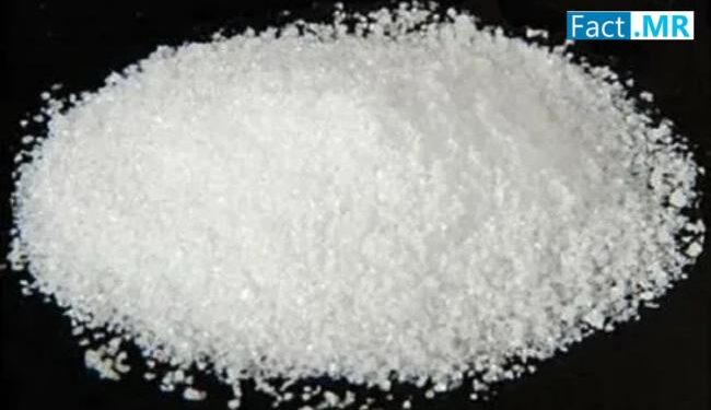 グリシン市場、2035年までに28億2,580万ドルに達する見込み – 医薬品、食品、化粧品分野での応用拡大が推進要因