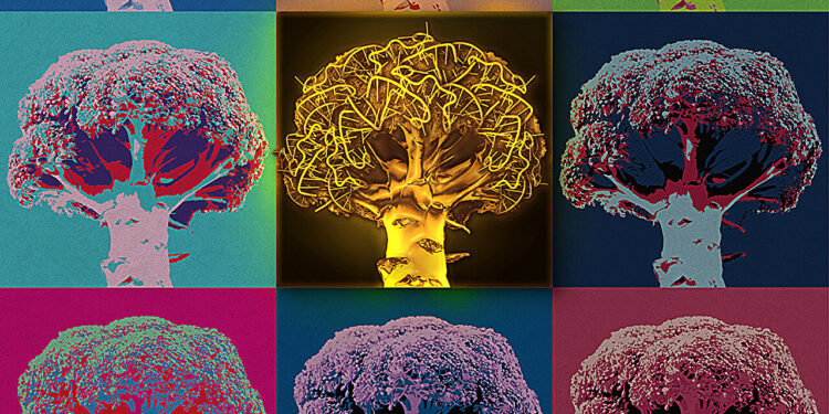 「ゴールデンブロッコリー」アプタマーが生細胞内のグリシンイメージングを可能にする