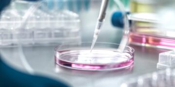 科学のショートニュース：レッドパームオレイン、プロバイオティクス、グリシンが注目される