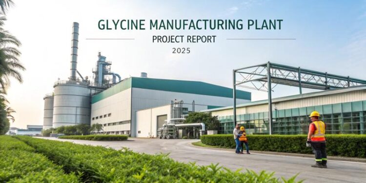 グリシン製造工場の設立：投資、機械、利益の洞察