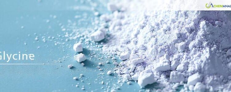 グリシン価格レポート：歴史的データと予測