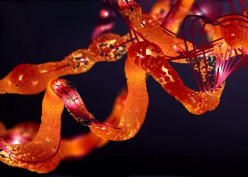 フロンティア | グリシンが腸内細菌叢を調節することで敗血症による白質損傷を軽減