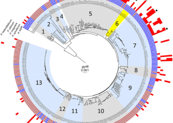 フロンティア | 水生シュードモナスが大豆のオオミズアオイ植物病原菌を抑制