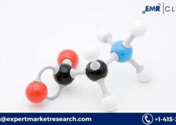 グリシン市場レポート：規模とシェア