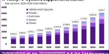 N-アセチル-L-システインサプリメント市場