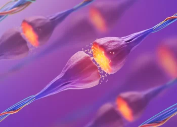 フロンティア | 慢性疼痛治療のためのグリシン輸送阻害剤：臨床評価の時が来た！