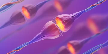 フロンティア | 慢性疼痛治療のためのグリシン輸送阻害剤：臨床評価の時が来た！