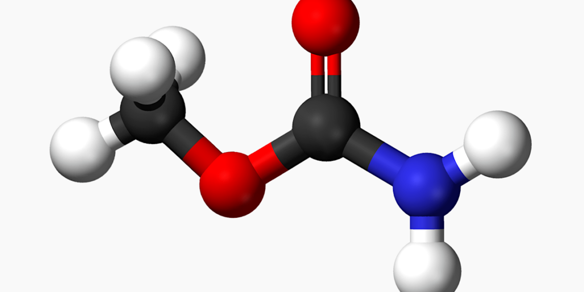 First Interstellar Detection of Methyl Carbamate: A New Observational Anchor for Glycine Chemistry