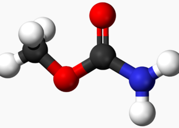 First Interstellar Detection of Methyl Carbamate: A New Observational Anchor for Glycine Chemistry