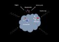 The Formation of Glycolamide on Interstellar Ices