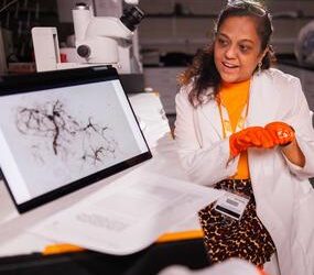 Stopping ticks in their tracks