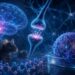 IBS team restores NMDA receptor function and eases autism symptoms via glycine control