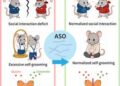 New therapy may reverse autism-related brain deficits