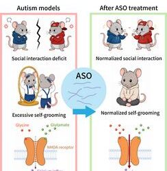New therapy may reverse autism-related brain deficits