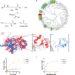 Reversal of protein chemical aging by enzymatic deglycation