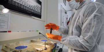 Blocking a Glycine Transporter Changed Autism Linked Behaviors in Mice, Study Finds