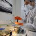Blocking a Glycine Transporter Changed Autism Linked Behaviors in Mice, Study Finds